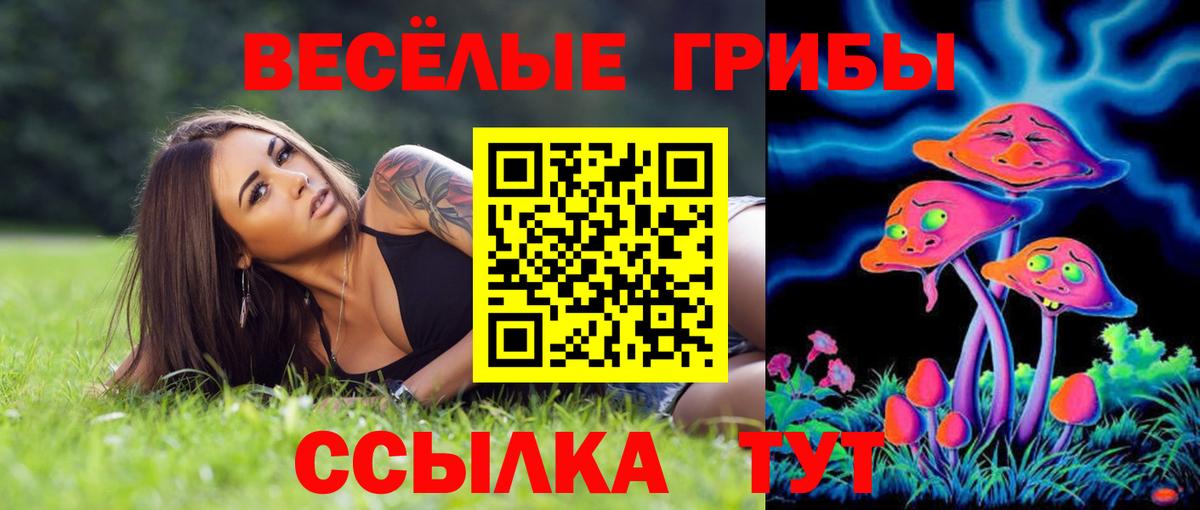 Бугуруслан  Галлюциногенные грибы мицелий  Вход с VPN 